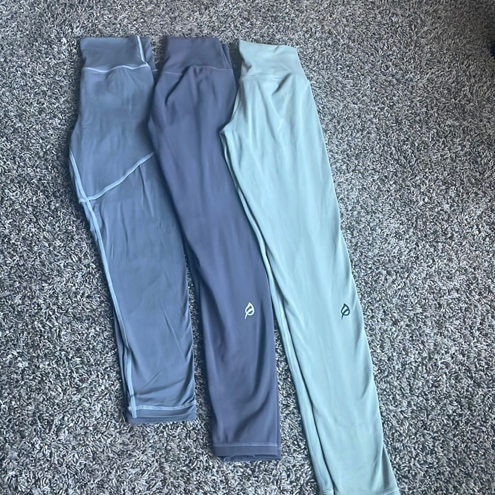 Ptula bundle